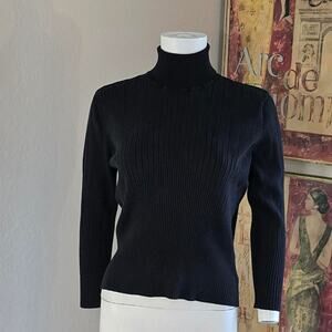 Black Rib Knit Silk Blend Turtle Neck by Siena Studio